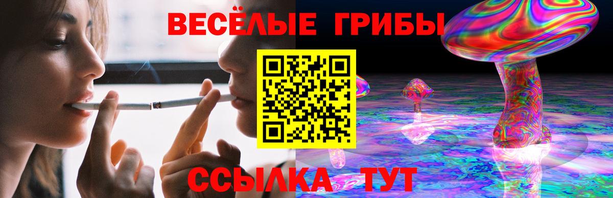 Тайшет  Псилоцибиновые грибы прущие грибы  Псилоцибиновые грибы MAGIC MUSHROOMS  Вход с VPN 