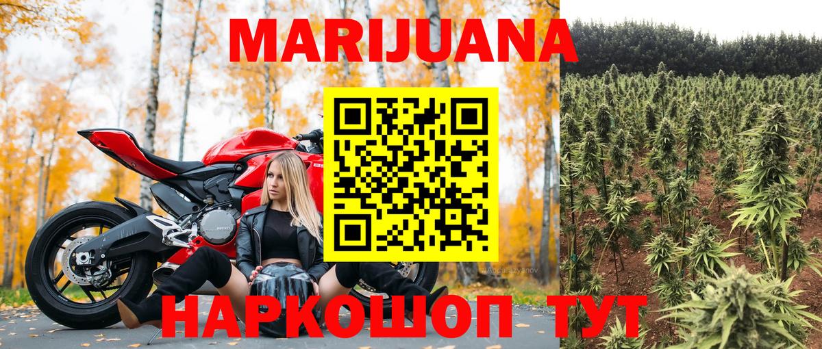 Каннабис план Тайшет